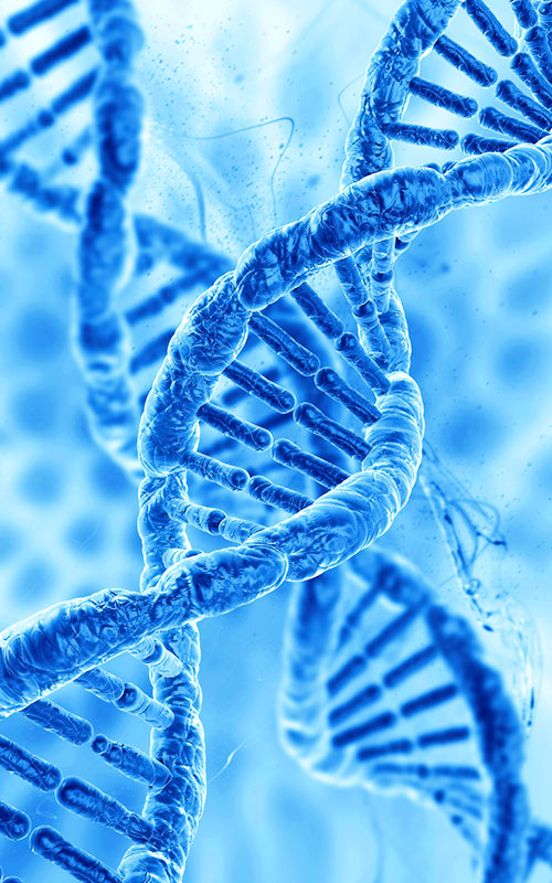 Anhua Bio ra mắt sản phẩm PDRN: Tái thiết chuỗi cung ứng nguyên liệu thô tái tạo mô toàn cầu bằng sinh học tổng hợp